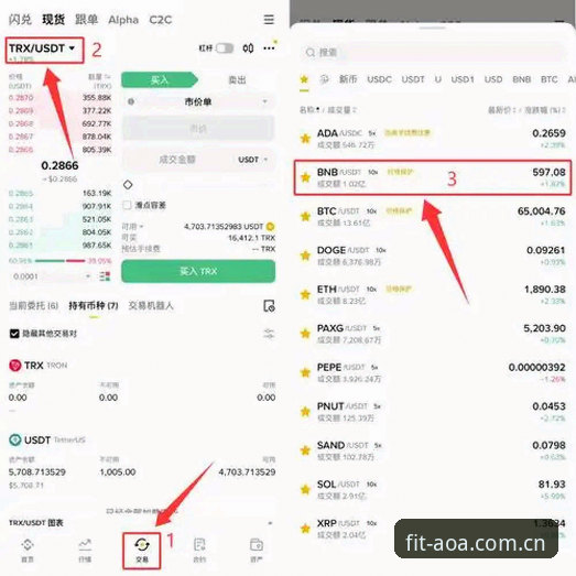 AOASPORTS提现 AOA体育官方提现体验深度评测:从注册到出金的完整流程解析